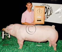 Barrow Winners
